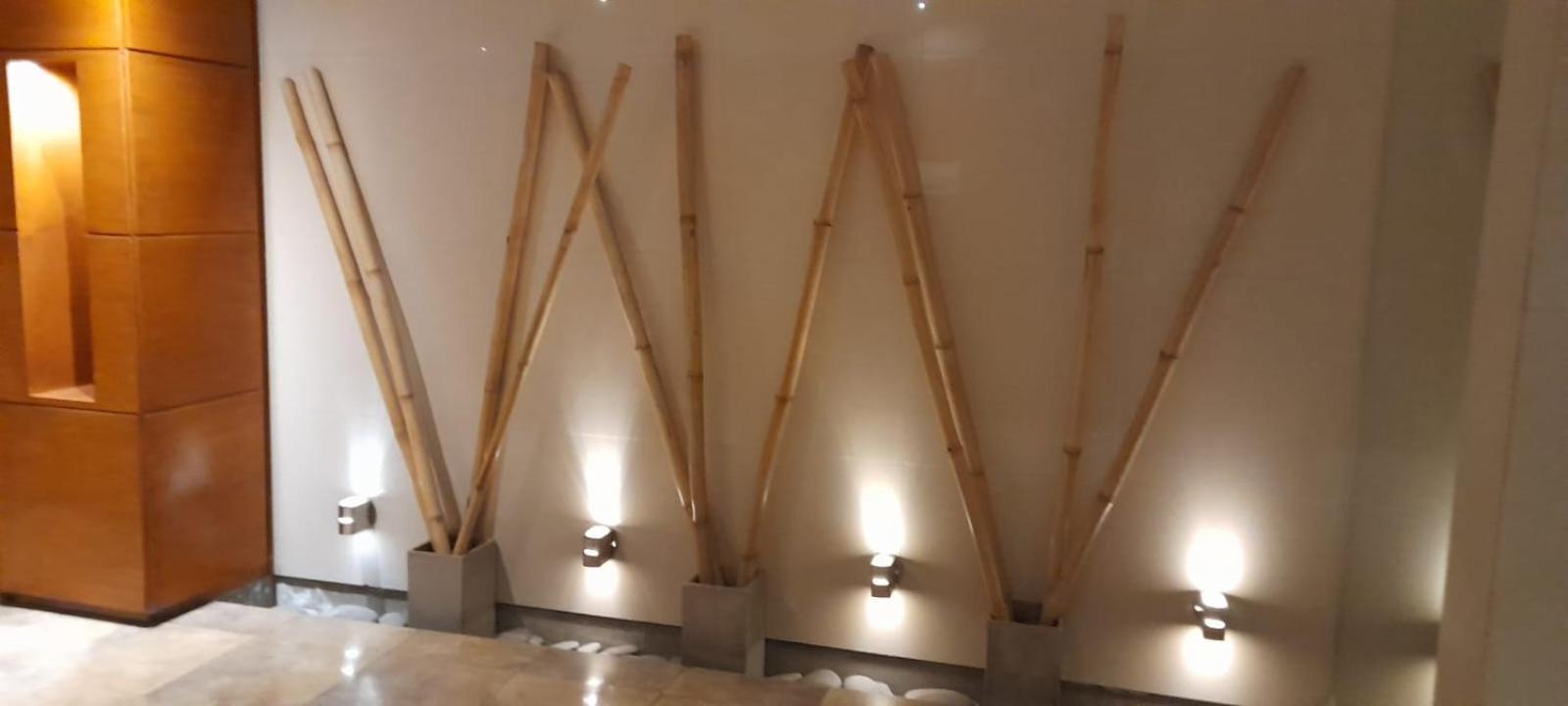 El Departamento De Santiago